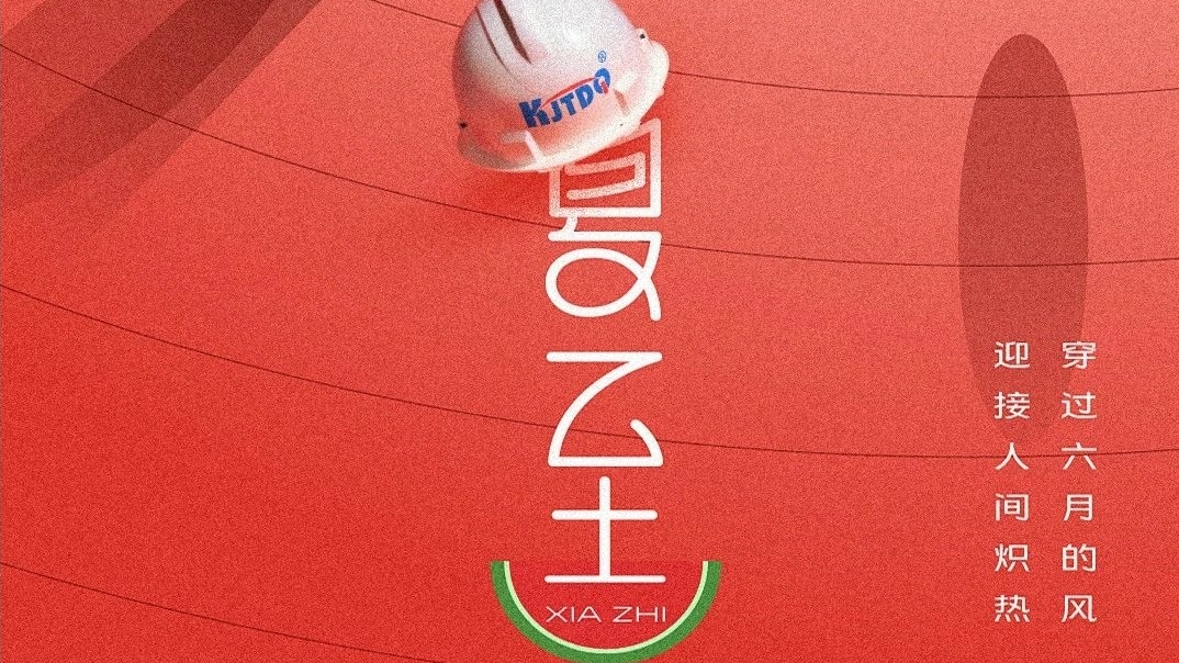 夏至 | 時夏方長，向陽而生