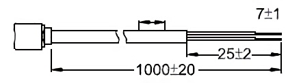 15N 15N